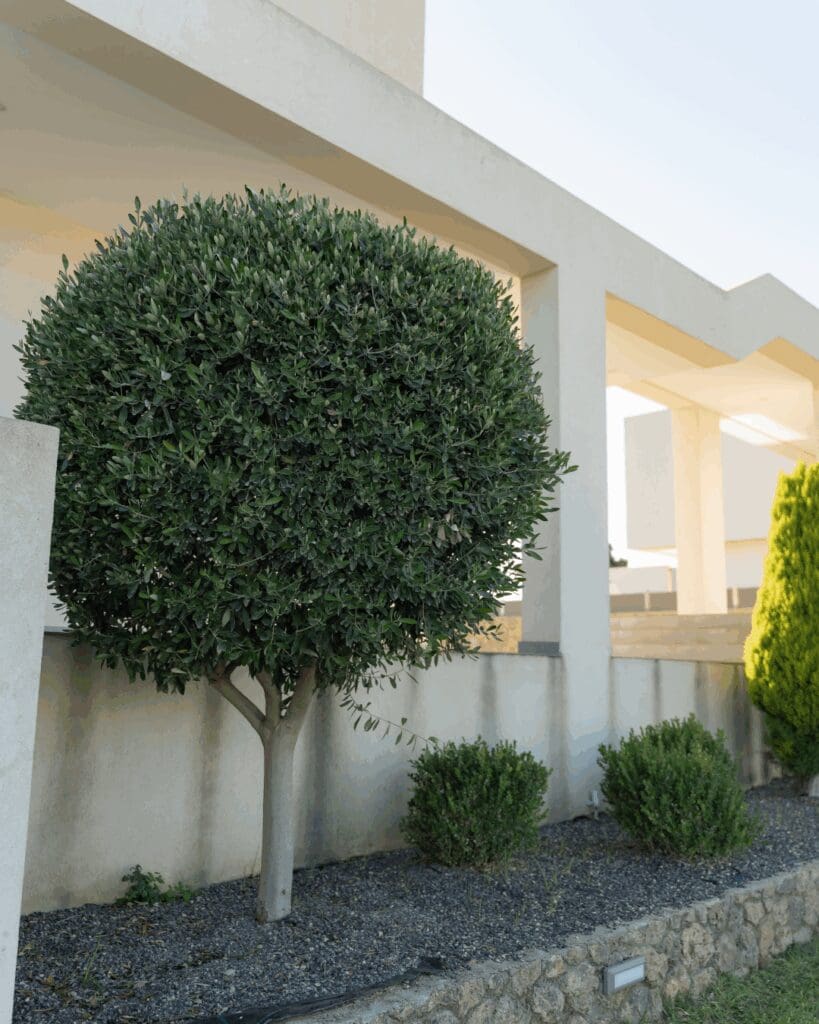 Photography Lessons from Day 1 of the Corfu, Greece Retreat – villa view